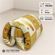Матрас ХОЛКОН размер 100х200 борт 9 см